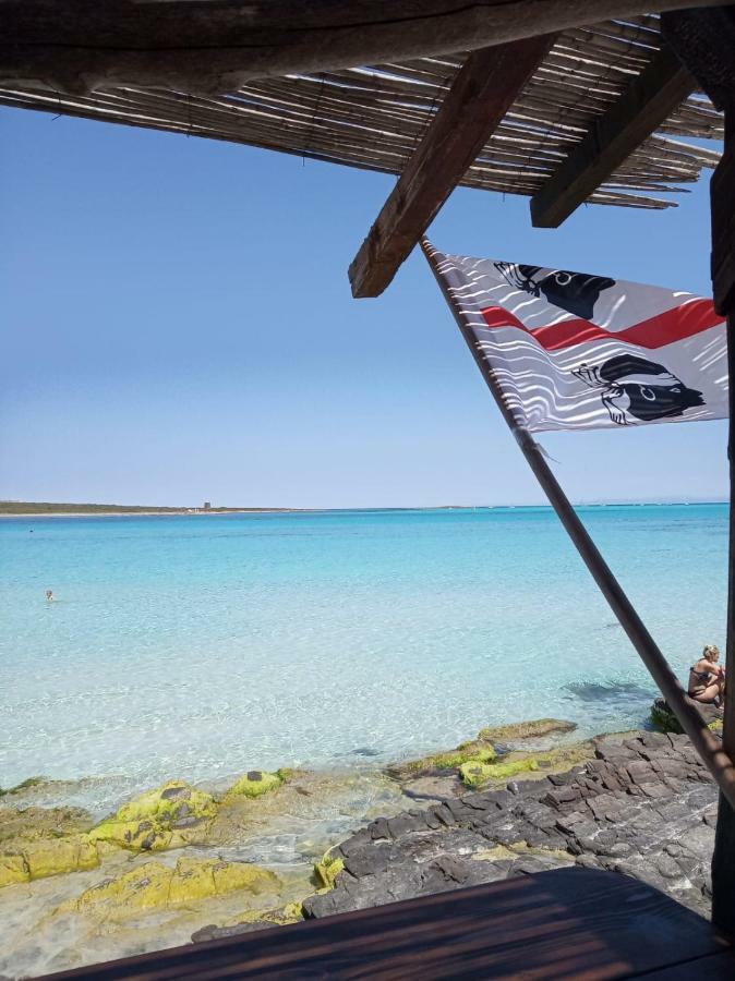Stefano Casa Vacanze Viddalba Extérieur photo